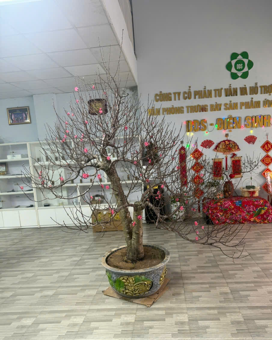 Thông báo lịch nghỉ tết Nguyên Đán Bính Ngọ