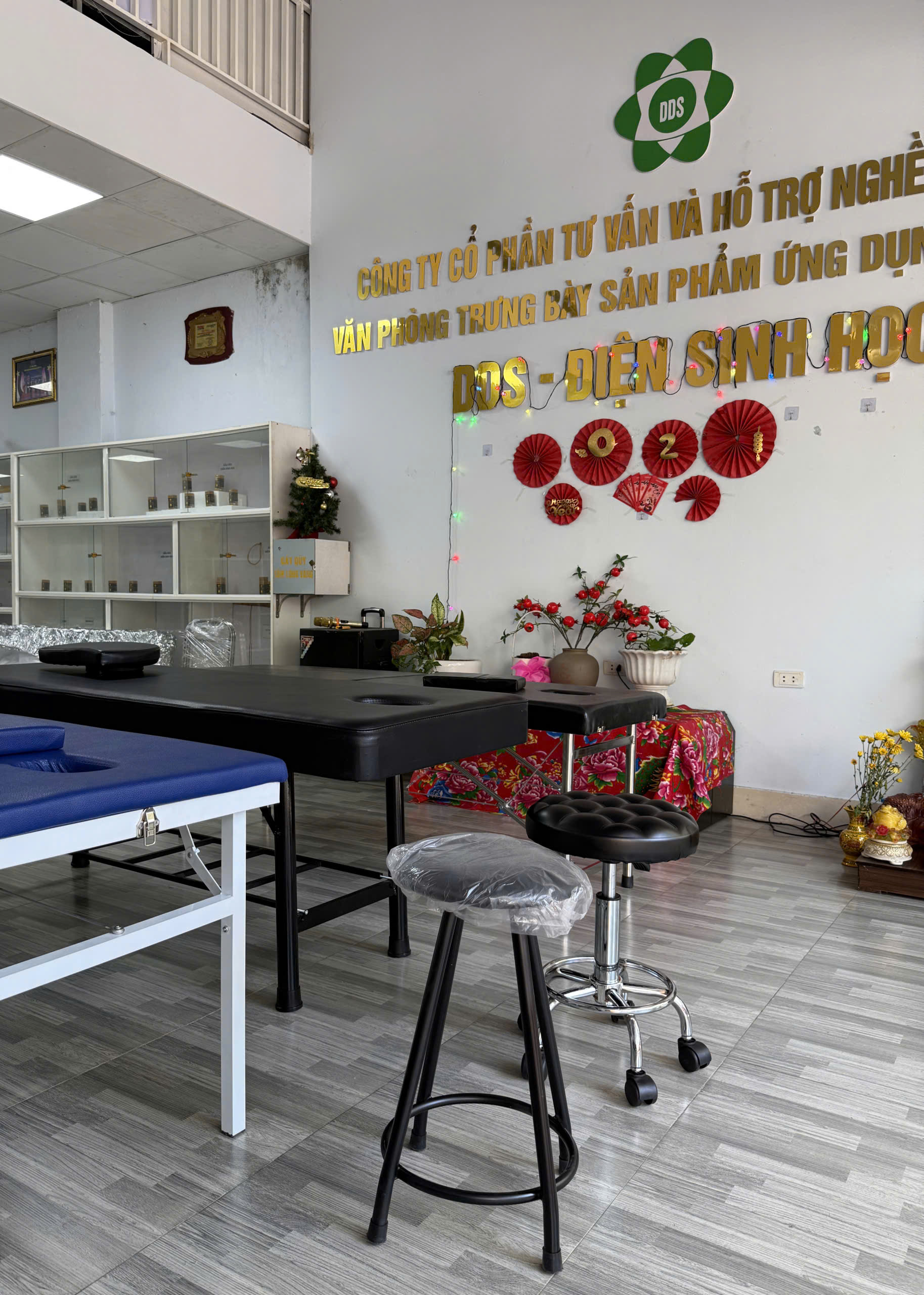 Ghế Đôn DDS