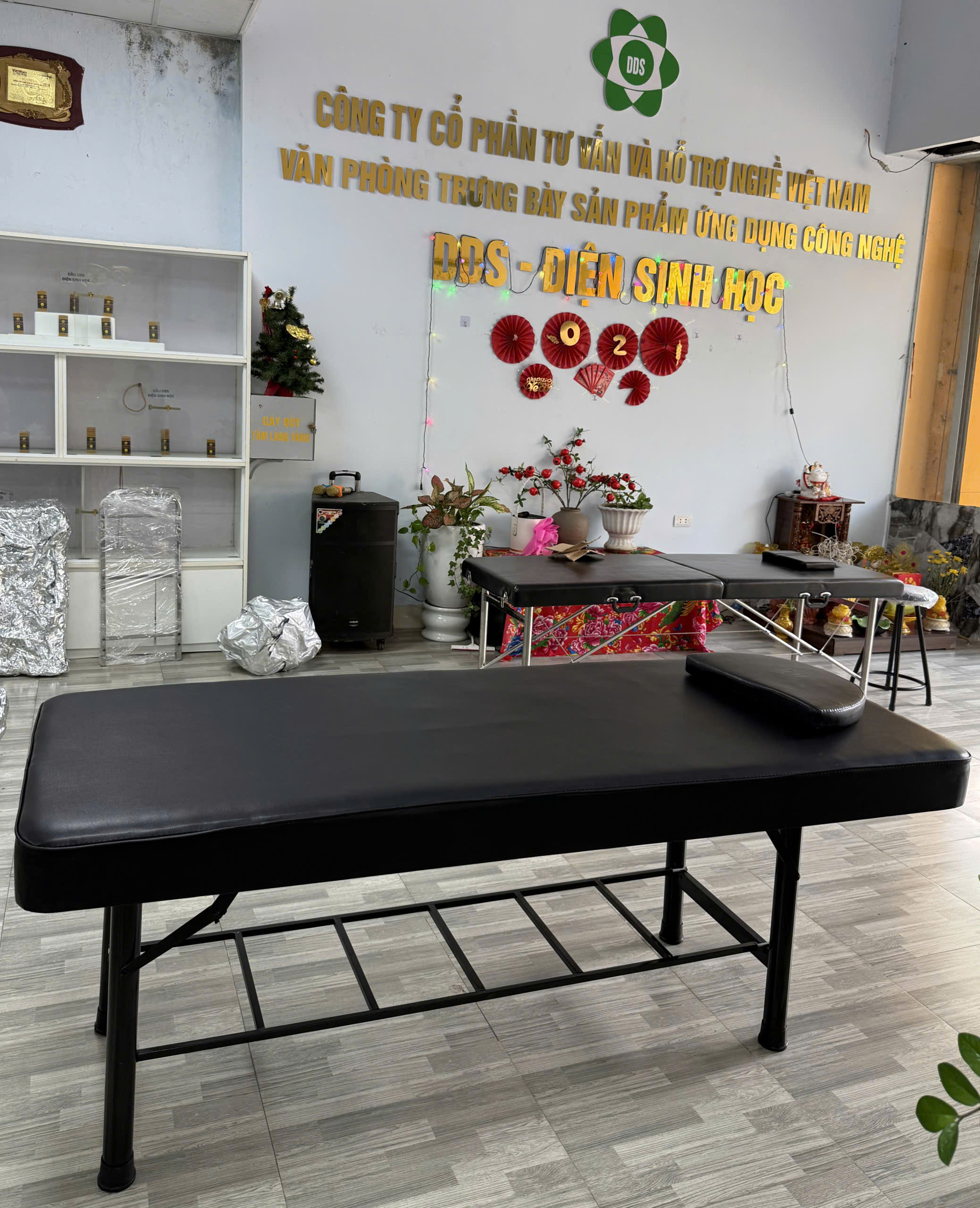 Giường Spa - DDS tháo lắp, khung sắt chắc chắn